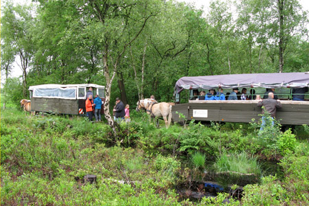 Planwagen Moor