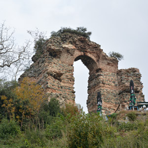 Yoros1