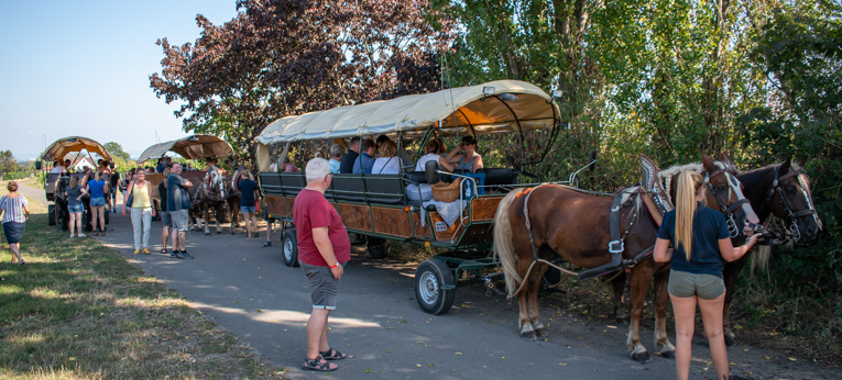 Planwagen