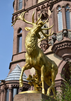 Hirsch