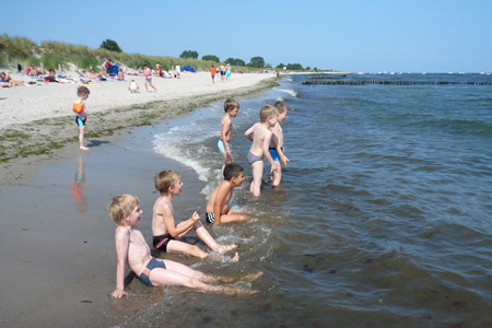 Grmitz 2007